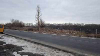 На дорозі поблизу Миргорода викрали огородження та знаки