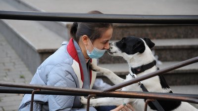 В Україні за добу від СOVID-19 одужало більше пацієнтів, ніж захворіло — Степанов