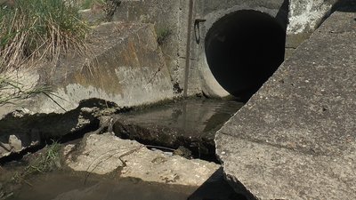 Чи забруднений потічок, що впадає у Бистрицю-Солотвинську, перевірить франківська екоінспекція