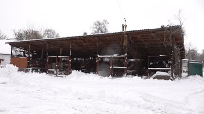 У Городищі мітингували проти реорганізації ліцею У Городищі мітингували проти реорганізації ліцею