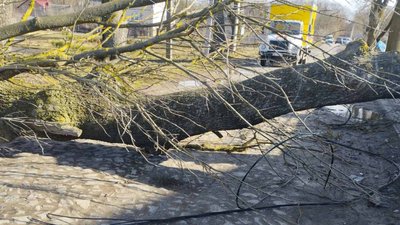 "Ситуація динамічна": ранкові знеструмлення на Рівненщині відновили, але додалися нові відключення "Ситуація динамічна": ранкові знеструмлення на Рівненщині відновили, але додалися нові відключення