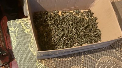 наркотики наркотики
