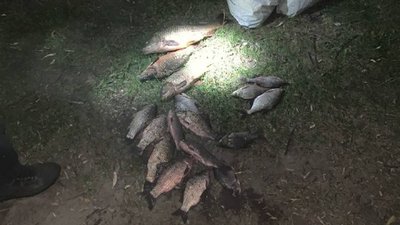 Наловив на 33 тисячі гривень: у Вінниці чоловік порушив правила рибальства
