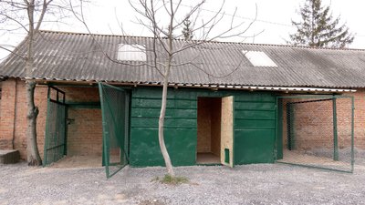 На Вінниччині зооволонтери облаштували пункт тимчасової перетримки безпритульних тварин На Вінниччині зооволонтери облаштували пункт тимчасової перетримки безпритульних тварин