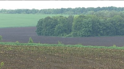 Майже кожному другому заявнику відмовляють в отриманні сільськогосподарської землі на Сумщині