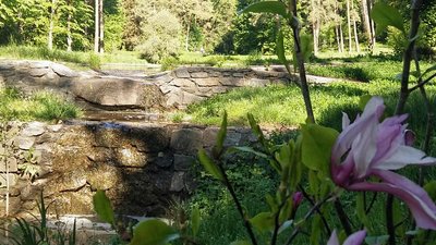 Уманську Софіївку відкрили лише для прогулянок Уманську Софіївку відкрили лише для прогулянок