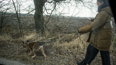 Пусті АЗС та перебої зі зв'язком. Як українці їдуть на Захід Пусті АЗС та перебої зі зв'язком. Як українці їдуть на Захід