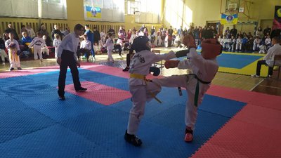 Змагались понад сто спортсменів. У Кропивницькому відбувся Кубок пам'яті захисників України з таеквон-до