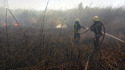 За добу на Дніпропетровщині в природних екосистемах виникло 37 пожеж на загальній площі 25 га