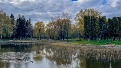 Чим забруднене повітря у Черкасах