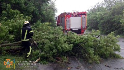 Повалені дерева та розтрощені автівки: наслідки негоди на Дніпропетровщині Повалені дерева та розтрощені автівки: наслідки негоди на Дніпропетровщині