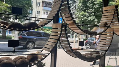 Родина Сапарових з Маріуполя відкрили мініпекарню Родина Сапарових з Маріуполя відкрили мініпекарню