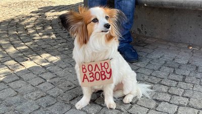 У Дніпрі влаштували акцію "Не мовчи! Полон вбиває" У Дніпрі влаштували акцію "Не мовчи! Полон вбиває"