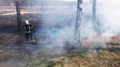 На Черкащині за добу сталось десять пожеж сухостою та сміття На Черкащині за добу сталось десять пожеж сухостою та сміття
