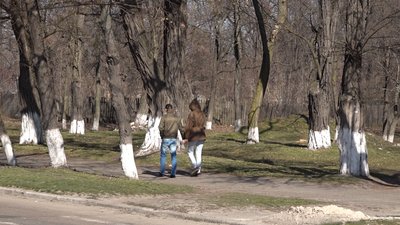 Вирубати не можна залишити: на Черкащині знищують дерева Вирубати не можна залишити: на Черкащині знищують дерева