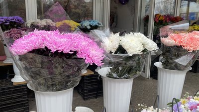У Миколаєві планують знести квітковий ринок: власники магазинів проти демонтажу У Миколаєві планують знести квітковий ринок: власники магазинів проти демонтажу