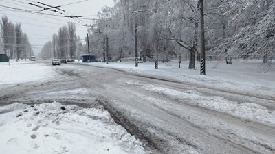 У Полтаві знову негода: не працюють тролейбуси