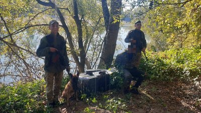 Закарпатські прикордонники виявили 16,5 тис. пачок сигарет та затримали пачкаря на кордоні з ЄС Закарпатські прикордонники виявили 16,5 тис. пачок сигарет та затримали пачкаря на кордоні з ЄС