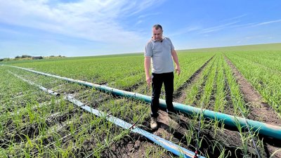 Система поливу на полі з цибулею в Байківцях Система поливу на полі з цибулею в Байківцях