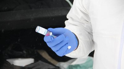 Вакцина, якою щеплюють тварин Вакцина, якою щеплюють тварин