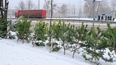 Святкова казка й снігова дійсність. Фоторепортаж з різдвяного Дніпра Святкова казка й снігова дійсність. Фоторепортаж з різдвяного Дніпра