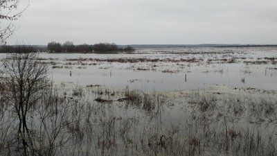 Як долають наслідки підтоплення сільськогосподарських угідь та житлових будинків на Волині Як долають наслідки підтоплення сільськогосподарських угідь та житлових будинків на Волині
