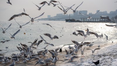 Пляж в Одесі взимку