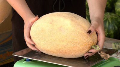 Купити диню Черкаси