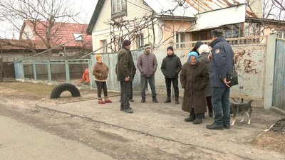 сморід в лісі сморід в лісі