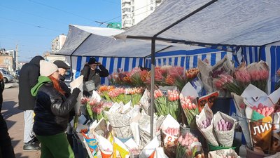 квіти квіти