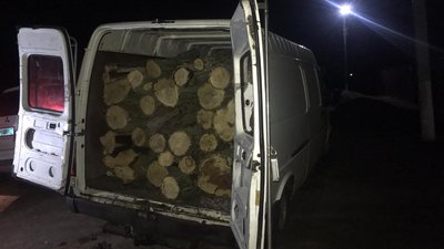 На Херсонщині громадські активісти затримали лісового браконьєра і передали його поліцейським