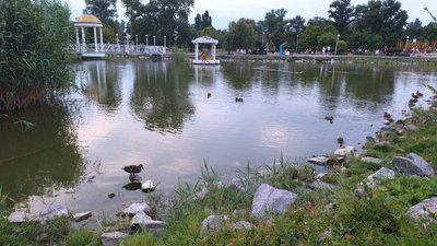 Погода у Запоріжжі 4 серпня