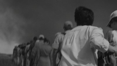 How the full-scale invasion has impacted the work of documentalists