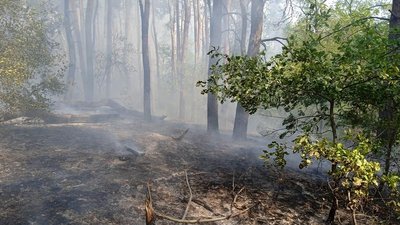 Горіла суха трава: на Дніпропетровщині сталися дві пожежі Горіла суха трава: на Дніпропетровщині сталися дві пожежі