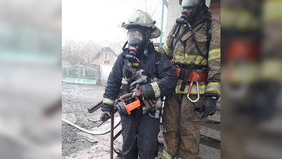 Львівські рятувальники винесли із пожежі кота