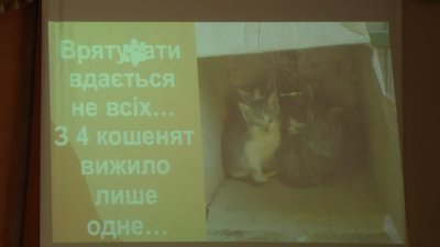 Учні Житомирської спецшколи №2 передали волонтерам гроші, зібрані на підтримку безпритульних тварин