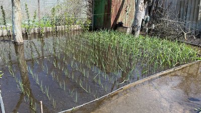 Паводок на Полтавщині: наскільки затоплені двори у Кременчуцькому районі Паводок на Полтавщині: наскільки затоплені двори у Кременчуцькому районі