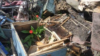 Бджільництво: пасіки сходу України найбільше постраждали через війну Бджільництво: пасіки сходу України найбільше постраждали через війну