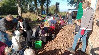 Ціна й урожай на рівні торішніх. Чого очікувати від збирання картоплі в Україні й на Кіровоградщині