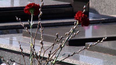У Житомирі торгівля штучними квітами під забороною – продають живі