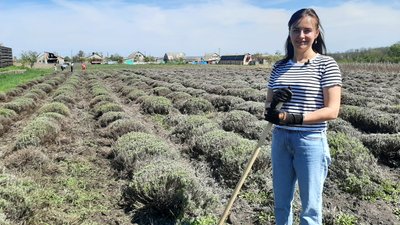 Ольга Гончарова оглядає засохлі кущі лаванди Ольга Гончарова оглядає засохлі кущі лаванди