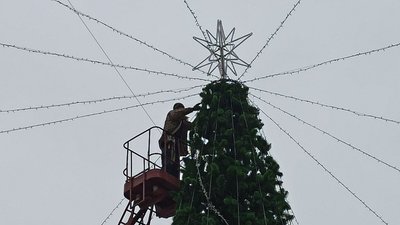 ялинка ялинка