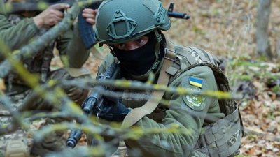 "ЗСУ звільнили майже всю Дніпропетровщину": Комаренко про контрнаступальну операцію на Олександрівському напрямку
