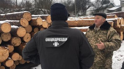 Посадовці одного із лісогосподарств Житомирщини крали хвойні дерева