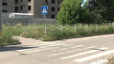 Нескошена трава у Полтаві Нескошена трава у Полтаві