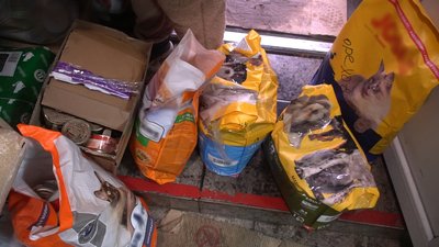 "Тварини дуже бояться, що ти їх покинеш": запоріжанка прихистила у себе понад 30 чотирилапих з прифронтових територій "Тварини дуже бояться, що ти їх покинеш": запоріжанка прихистила у себе понад 30 чотирилапих з прифронтових територій