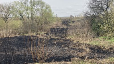 Енергетики заживили майже 180 будинків у селі на Харківщині: люди залишились без світла через паління сміття Енергетики заживили майже 180 будинків у селі на Харківщині: люди залишились без світла через паління сміття