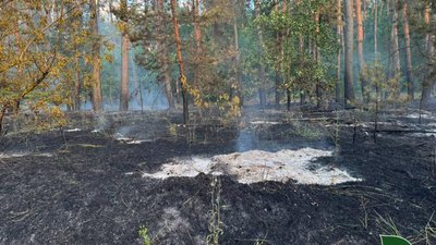 Російський БпЛА спричинив лісову пожежу на Полтавщині: вдалося врятувати 59-річний ліс