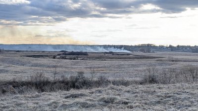 "Буде жорстко каратись": у Рівному — табу на багаття в зонах відпочинку. Паліїв сухостою попередили