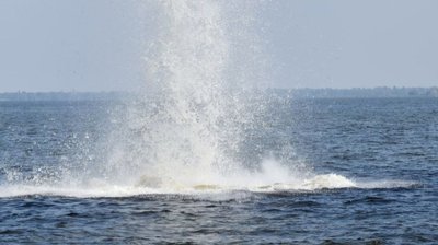 У Дніпрі в Черкасах виявили та знешкодили фрагмент російської ракети